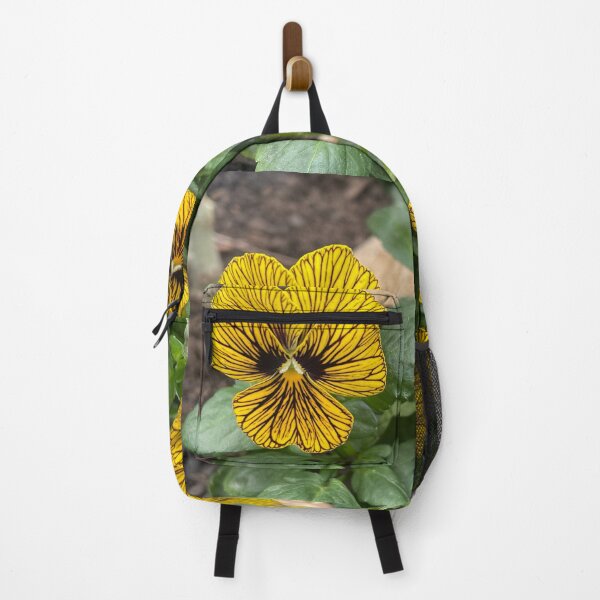 Item preview, Yellow striped pansies designed and sold by greentiger1.