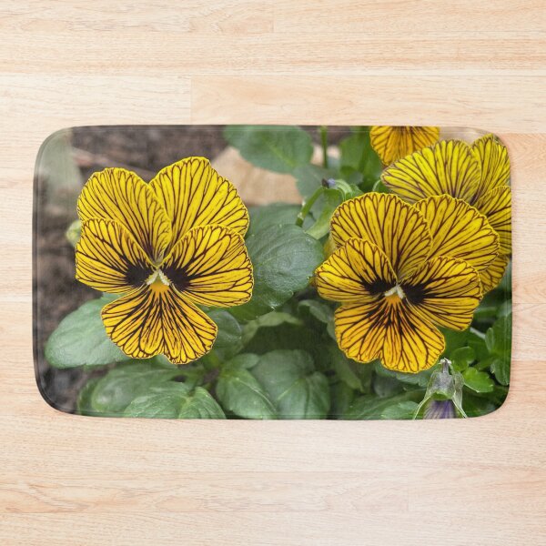 Item preview, Yellow striped pansies designed and sold by greentiger1.