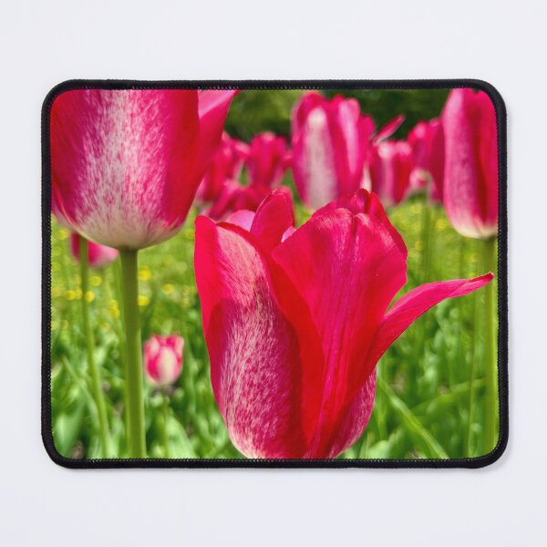 Item preview, A Field of Dreams designed and sold by Lana Magnolia.