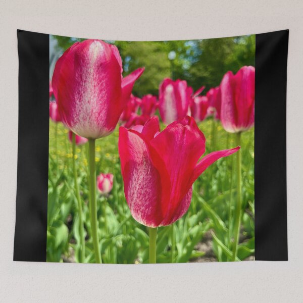 Item preview, A Field of Dreams designed and sold by Lana Magnolia.