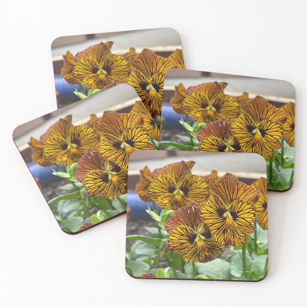 Item preview, Dark striped pansies designed and sold by greentiger1.