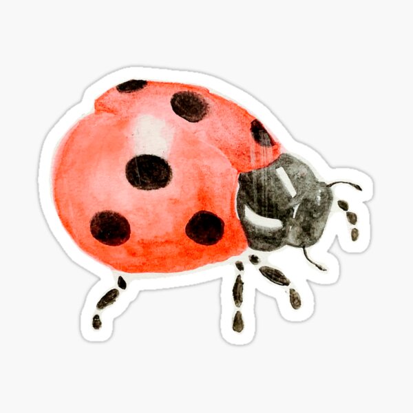 Artikel-Vorschau von Aquarell: Marienkäfer, designt und verkauft von DoodlesByPapaya.