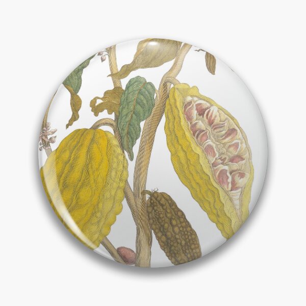 Item preview, Cacao Pods & Caterpillars – Vintage Botanical Illustration designed and sold by newyorkwala.