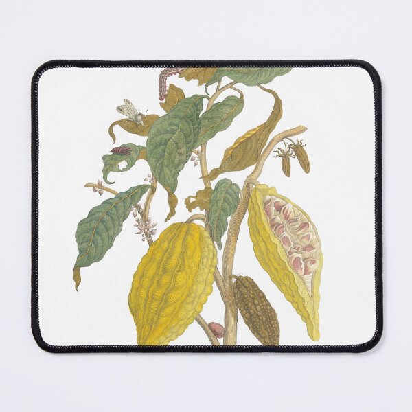 Item preview, Cacao Pods & Caterpillars – Vintage Botanical Illustration designed and sold by newyorkwala.