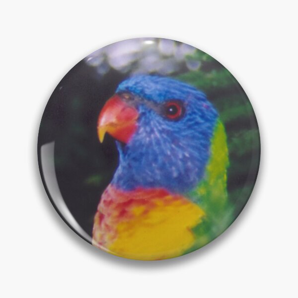 Item preview, Rainbow Lorikeet designed and sold by STHogan.