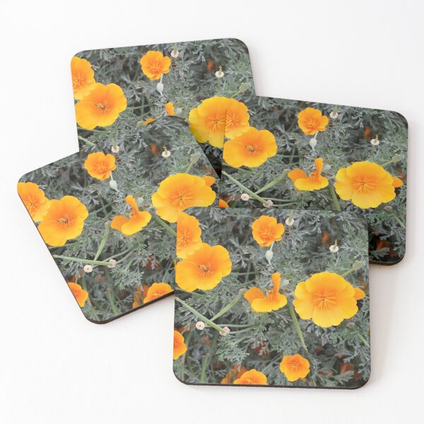 Item preview, California Poppy (Eschscholzia californica) from A Gardener's Notebook designed and sold by Douglas E. Welch Design and Photography.