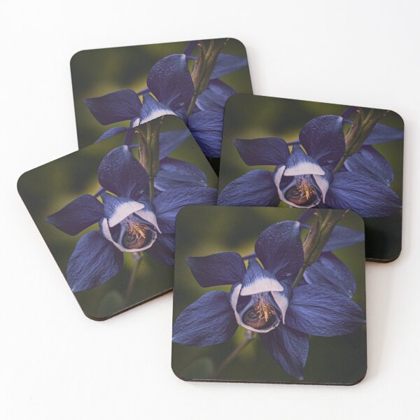 Item preview, Hidden in Aquilegia designed and sold by worthapic.