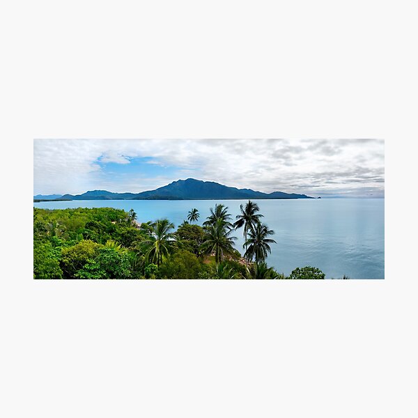Item preview, Hinchinbrook Island Beautiful Day through the Palms designed and sold by Adam Gormley.