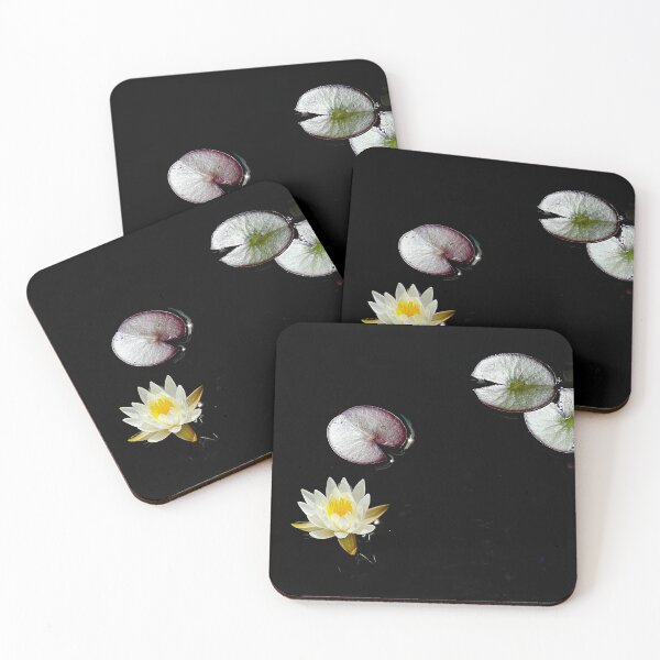 Item preview, White Lotus Flower & Lily Pads Photograph designed and sold by KCMagrath.