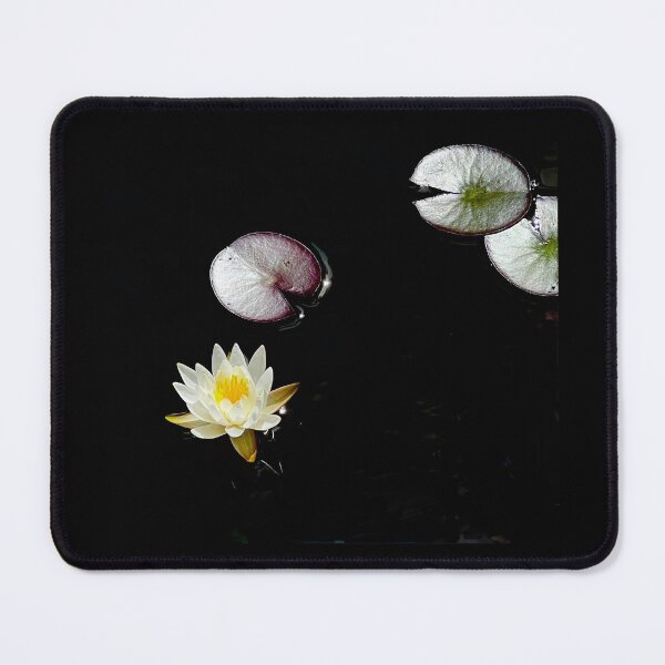 Item preview, White Lotus Flower & Lily Pads Photograph designed and sold by KCMagrath.