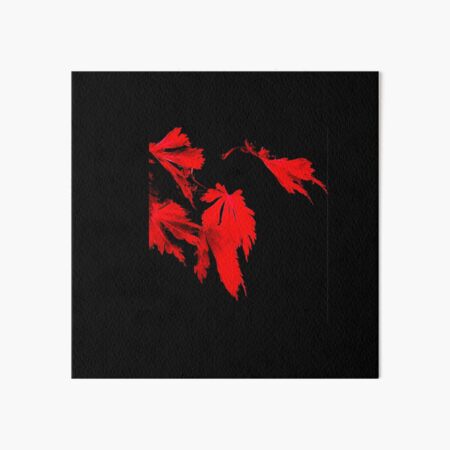 Vibrant Red Leaves on Black Background Art Board Print