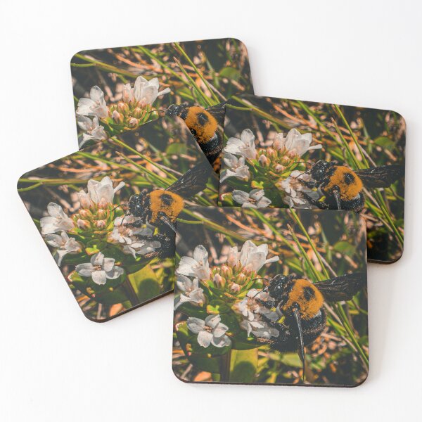 Item preview, Carpenter bee designed and sold by worthapic.