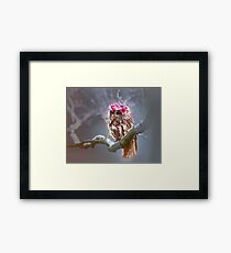 Owl Framed Print