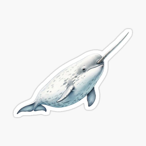 Item preview, Narwhal  designed and sold by 4rtistcDrift.