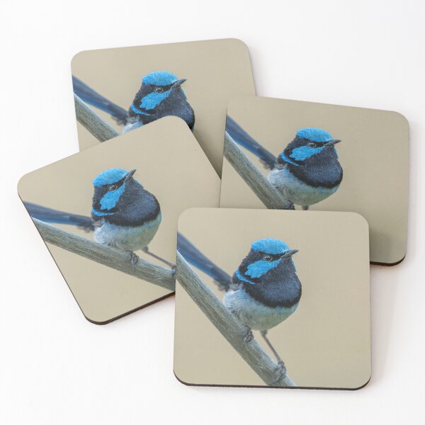 Item preview, Male Superb Fairywren designed and sold by Nick Vertsonis.