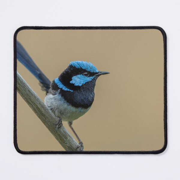 Item preview, Male Superb Fairywren designed and sold by Nick Vertsonis.