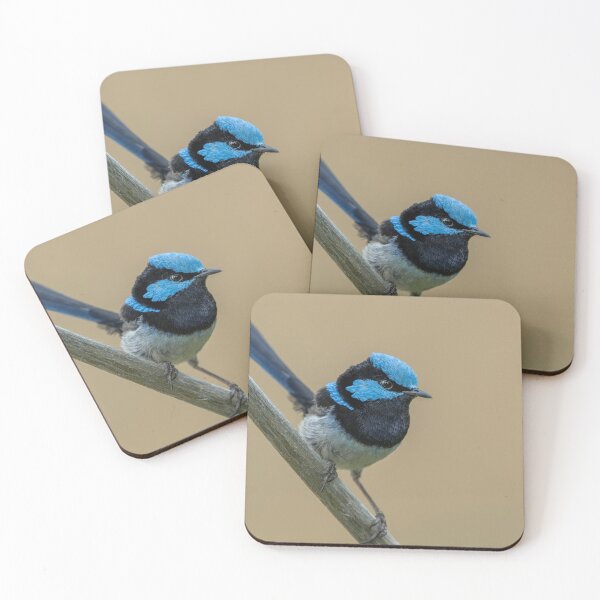Item preview, Male Superb Fairywren designed and sold by Nick Vertsonis.