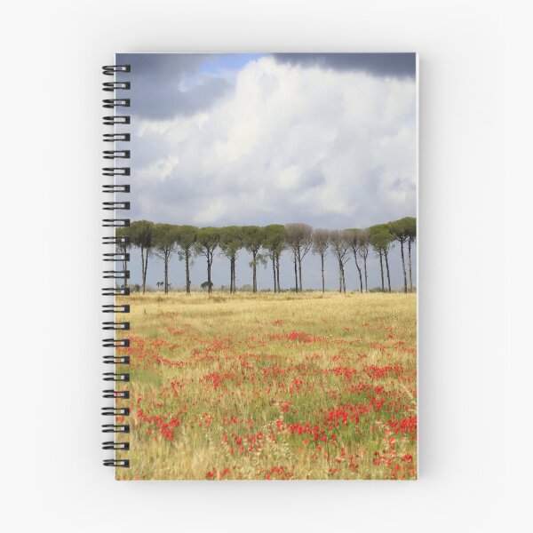 Item preview, Apulia landscape designed and sold by annalisa56.
