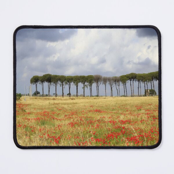 Item preview, Apulia landscape designed and sold by annalisa56.