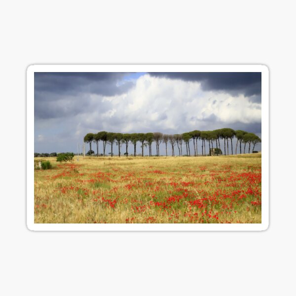 Item preview, Apulia landscape designed and sold by annalisa56.