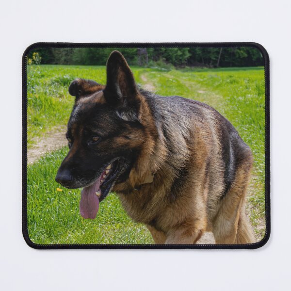 Item preview, German shepherd dog  designed and sold by Wolf22floW.