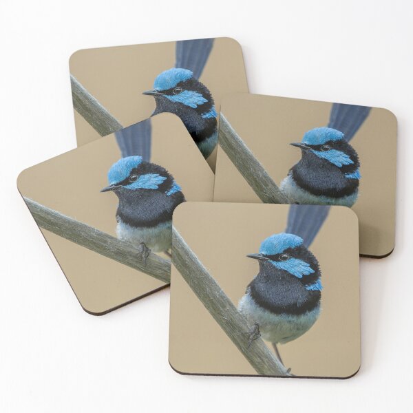 Item preview, Male Superb Fairywren designed and sold by Nick Vertsonis.