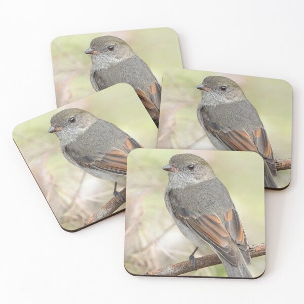 Item preview, Female Golden Whistler designed and sold by Nick Vertsonis.