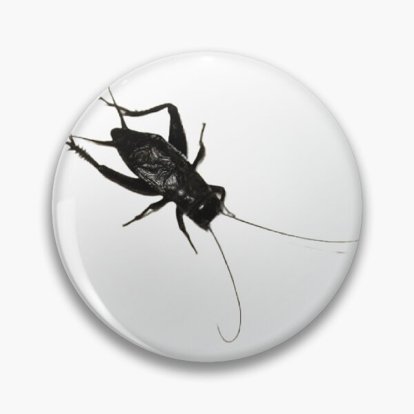 Item preview, Cricket  designed and sold by Lauracolleen3.