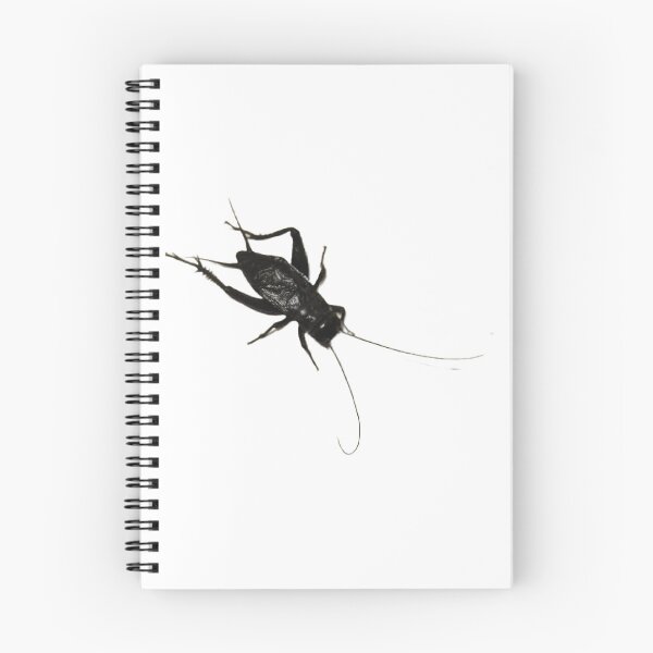 Item preview, Cricket  designed and sold by Lauracolleen3.