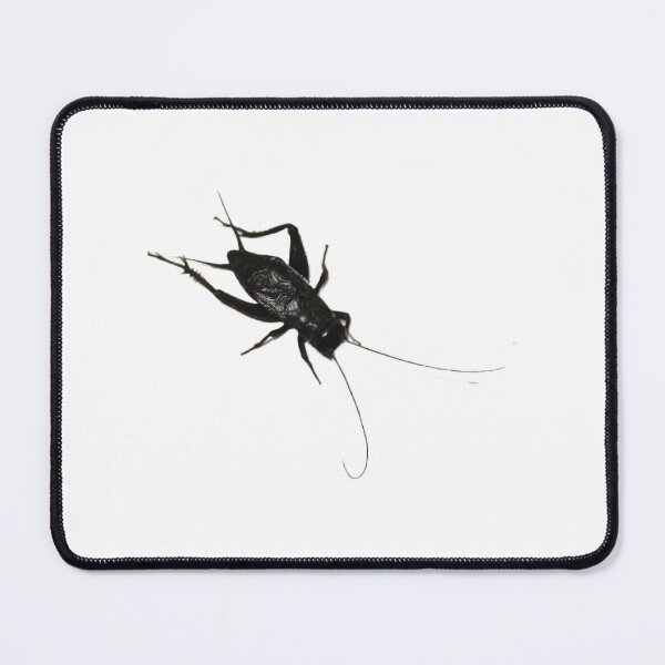 Item preview, Cricket  designed and sold by Lauracolleen3.