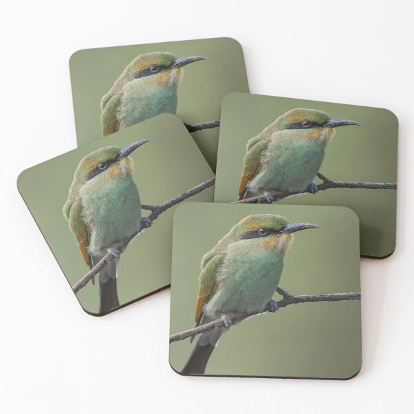 Item preview, Rainbow Bee Eater designed and sold by Nick Vertsonis.