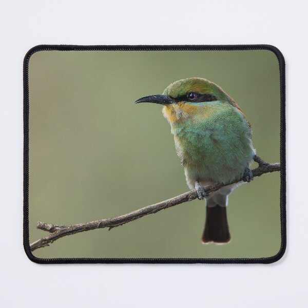 Item preview, Rainbow Bee Eater designed and sold by Nick Vertsonis.