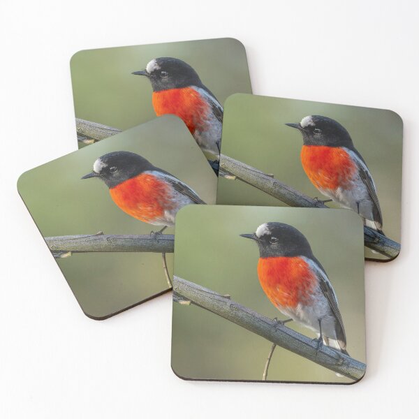 Item preview, Male Scarlet Robin designed and sold by Nick Vertsonis.