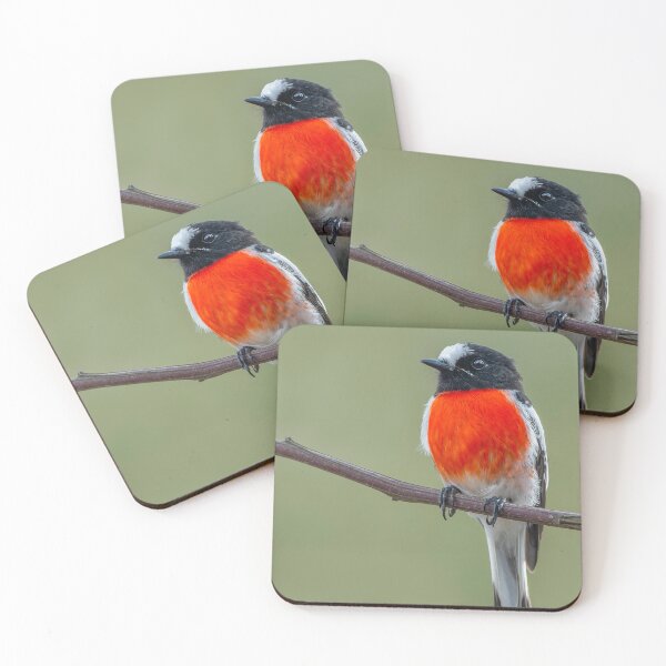 Item preview, Male Scarlet Robin designed and sold by Nick Vertsonis.