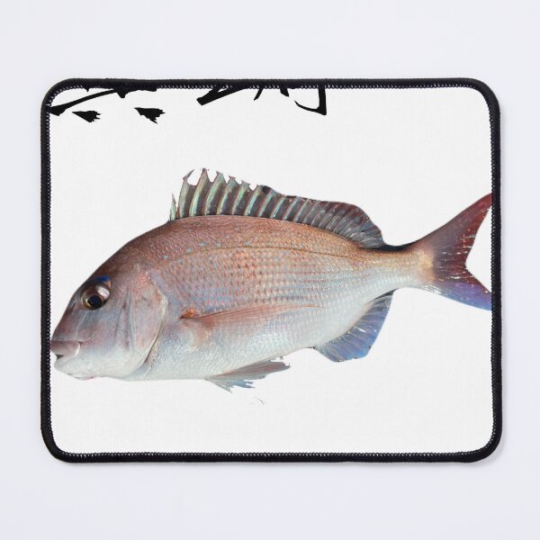 Item preview, 001 “Madai – The King of Japanese Waters | ماداي – ملك المياه اليابانية” designed and sold by taichi69nz.