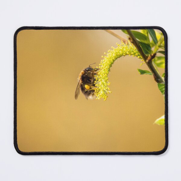 Item preview, Small bee on a willow blossom - spring close-up designed and sold by P.J 's Wildframes.