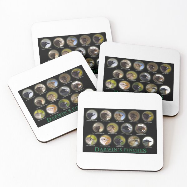 Item preview, Darwin finches (version 1) designed and sold by di-Vera-Rosati.