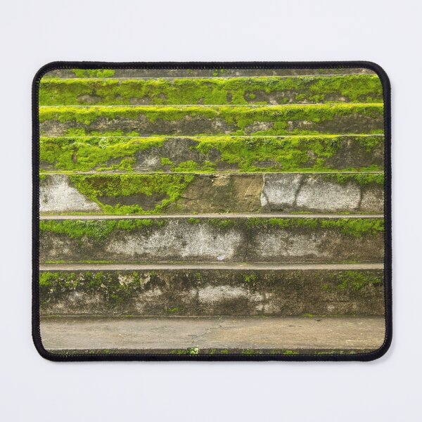 Item preview, stairs with moss designed and sold by felipequeiroz.