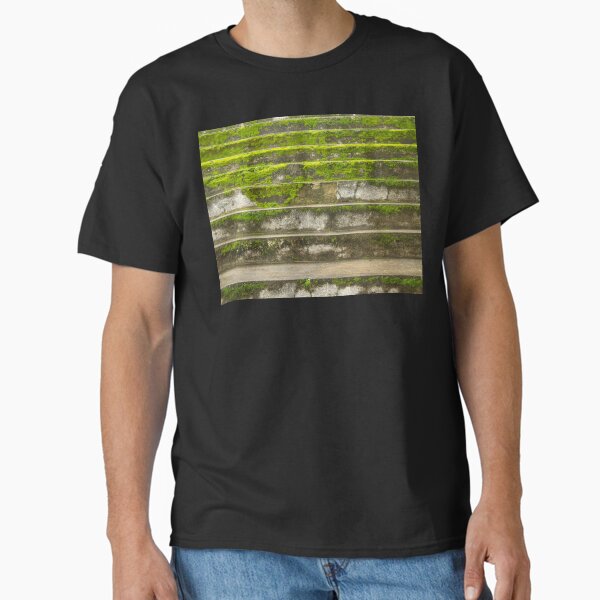 Item preview, stairs with moss designed and sold by felipequeiroz.