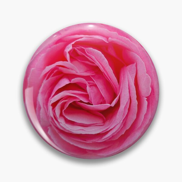 Item preview, Pink Rose #7 No Background designed and sold by beckscre8ive.