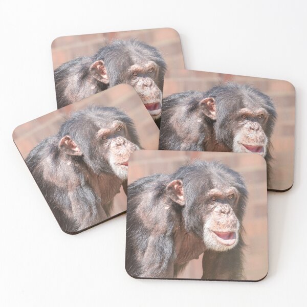 Item preview, Light and Stillness – Chimpanzee Stance designed and sold by rawshutterbug.