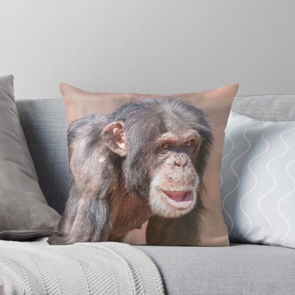 Item preview, Light and Stillness – Chimpanzee Stance designed and sold by rawshutterbug.