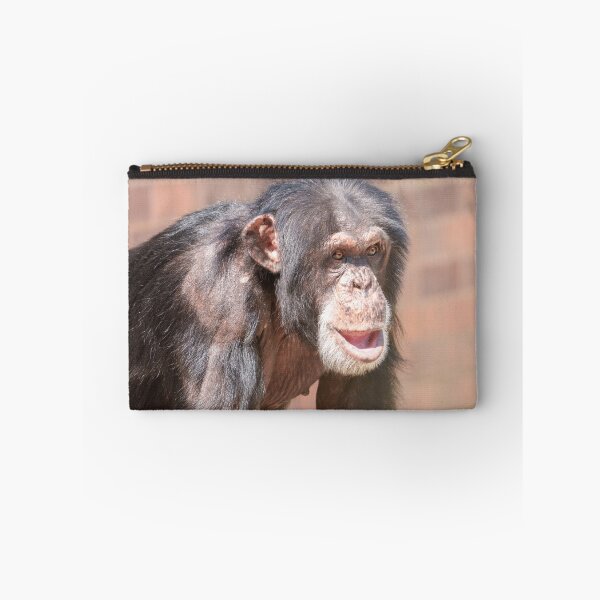Item preview, Light and Stillness – Chimpanzee Stance designed and sold by rawshutterbug.