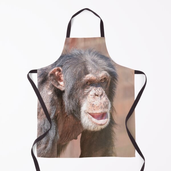 Item preview, Light and Stillness – Chimpanzee Stance designed and sold by rawshutterbug.