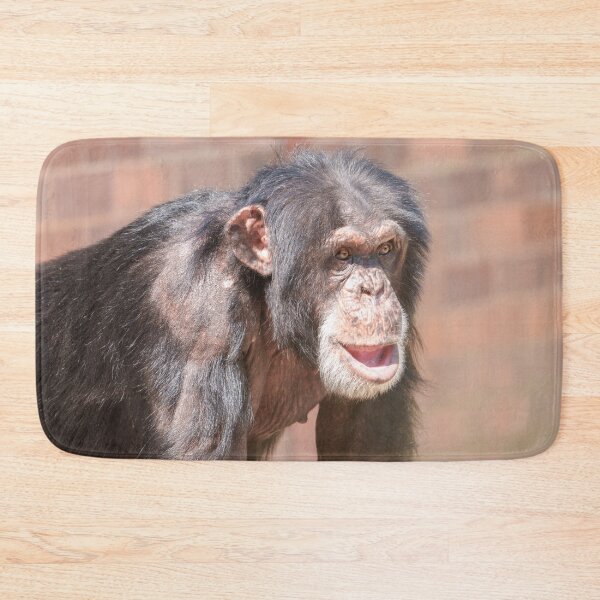 Item preview, Light and Stillness – Chimpanzee Stance designed and sold by rawshutterbug.