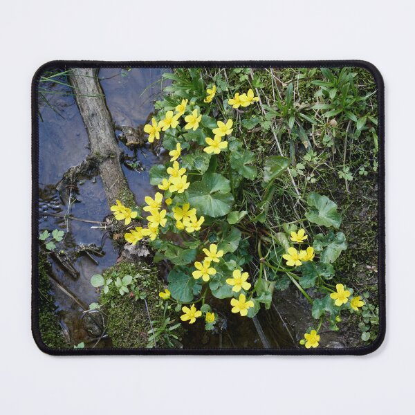 Item preview, By the brook. Marsh-marigold designed and sold by Jouko Lehto Photography.