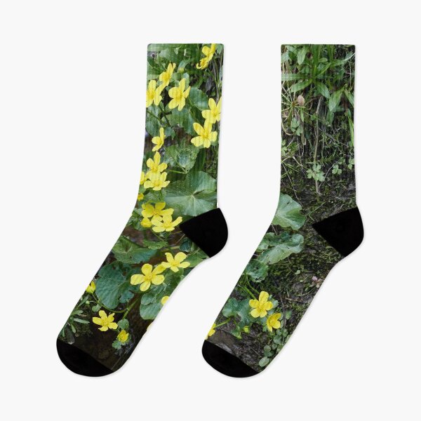 Item preview, By the brook. Marsh-marigold designed and sold by Jouko Lehto Photography.