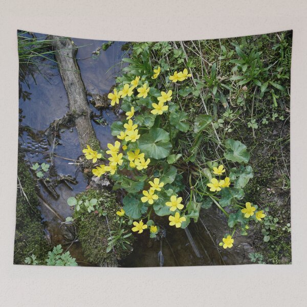 Item preview, By the brook. Marsh-marigold designed and sold by Jouko Lehto Photography.