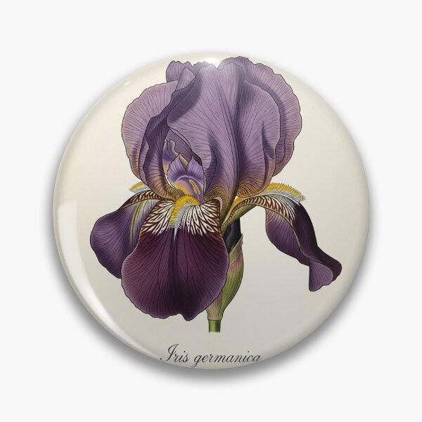Item preview, Vintage Purple Iris: Iris Germanica designed and sold by BloomandGrace.