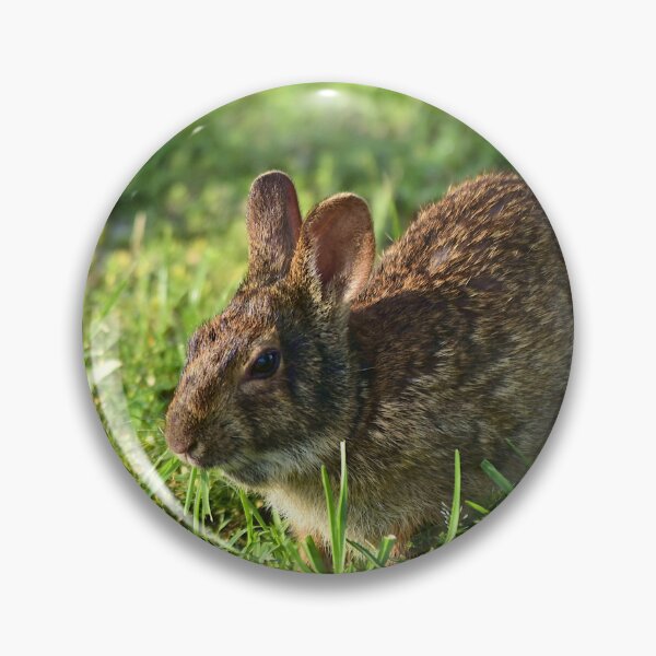 Item preview, Cottontail Rabbit  designed and sold by MercerImages.